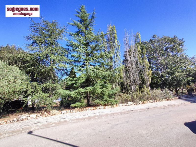 Foto 970947d4-7b37-4cd9-b74f-ddcfb4ce4737. Terreny residencial a Begues