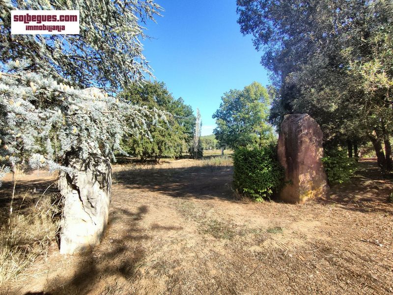 Foto b3b1e7e6-9cfc-4c33-8432-d4c007da855c. Terreny residencial a Begues