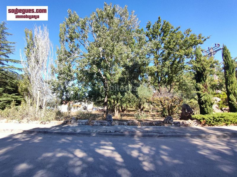 Foto bbd15a2f-0b62-47b9-8065-ea59e84f0342. Terreny residencial a Begues