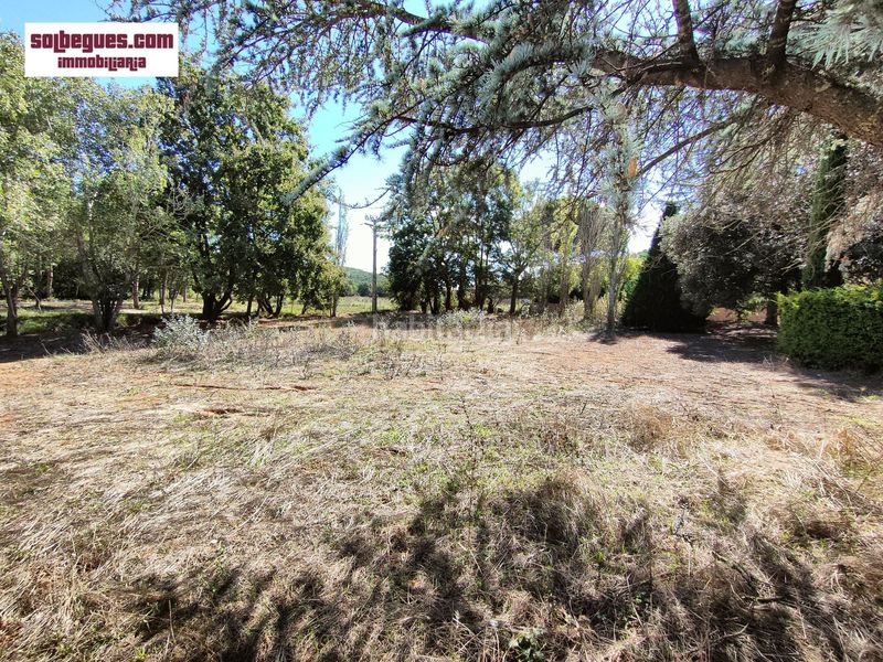Foto ea42bdfa-bfa6-4f9d-9f9f-289ef9155173. Terreny residencial a Begues
