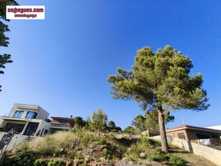 Wohngrundstück  Sant eudald. Begues barceloneta