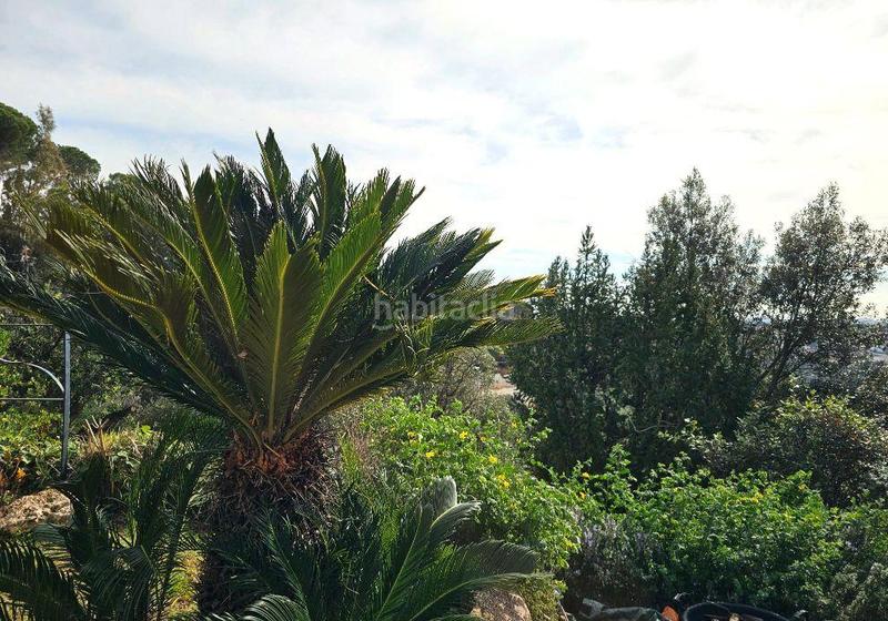 Foto adf3fb46-b101-4ae7-96c3-248553f46b5c. Chalet con riscaldamento parcheggio piscina in Mas Pere-Río de Oro Calonge