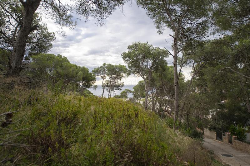 Foto bd3c4d85-deb8-411c-af30-b1d0b4f60292. Piccolo appartamento in Tamariu