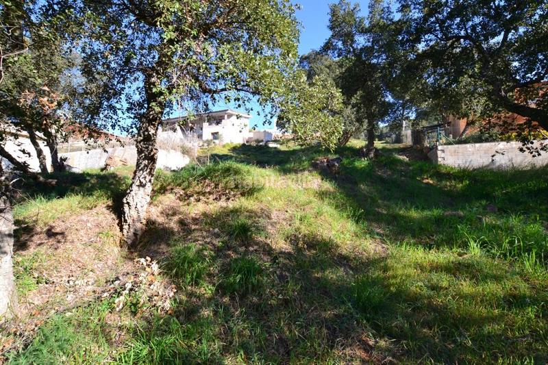 Foto 7c43f45c-d4e7-4e7f-8f59-ade7543b07dd. Residential plot in Mas Pere-Río de Oro Calonge