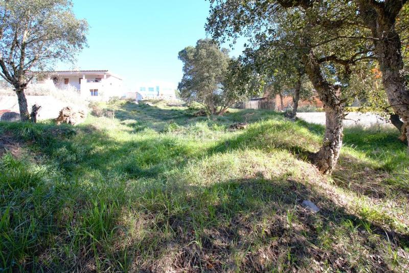 Foto d736970d-4c7c-4448-89b5-cd17b53b601f. Residential plot in Mas Pere-Río de Oro Calonge