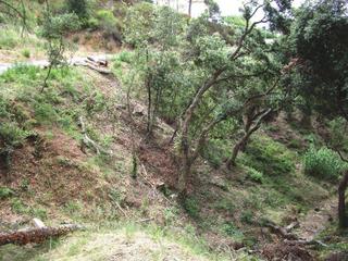 Terreny residencial a Eucaliptus 10. Parcela con amplia fachada