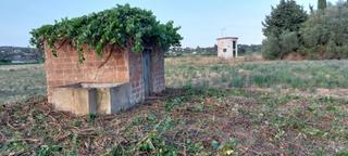 Terreny residencial  El pla