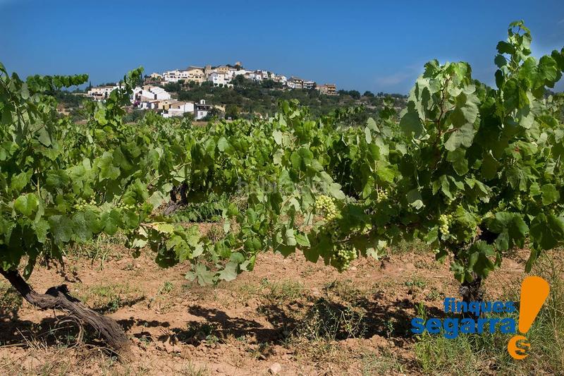 Foto dc85f037-2d5b-4aff-ad0b-e8ae1373fd30. Casa tu nuevo hogar te espera en mas astor! en Mas Borràs-Coto del Rey Vendrell (El)