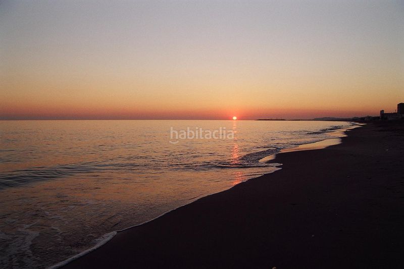 Foto e5b3f105-d8bf-4bf6-8625-bb5f01bd3337. Pis a Coma-ruga platja Coma-ruga