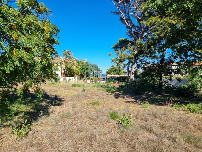 Foto ddd4661d-833c-4ed4-8c9f-823116500649. Terreno residencial en Las Rotas / Les Rotes Dénia