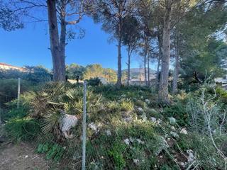 Terreny residencial a La Pedrera-Vessanes