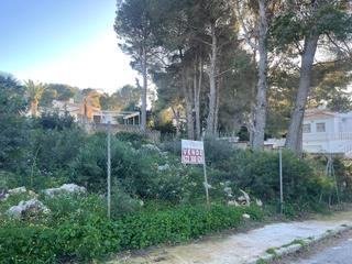 Terreny residencial a La Pedrera-Vessanes