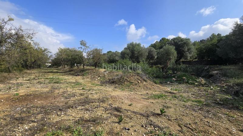 Foto 4512125c-ff75-460c-b088-d3b206ff8b19. Terreno residencial en Orba