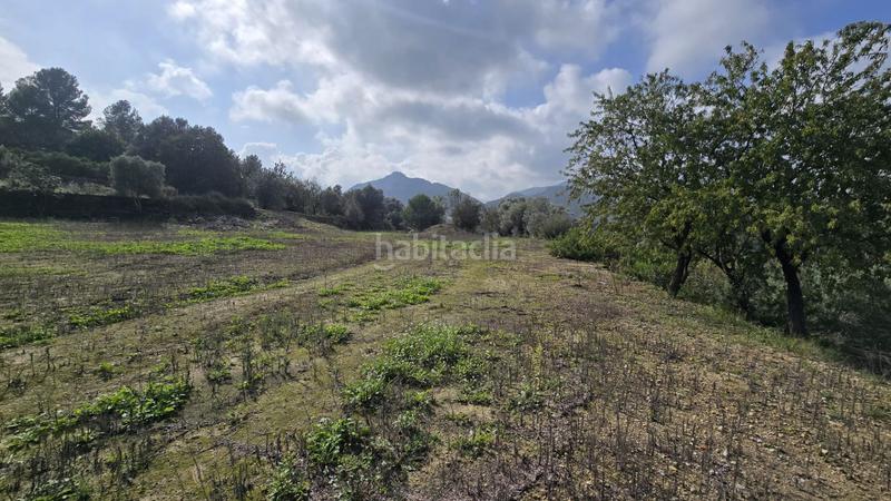 Foto 48c73d4a-d3af-4df7-9fd4-af80df987ea1. Terrain résidentiel dans Orba