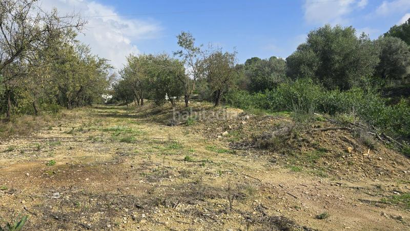 Foto 265f553a-d0b5-4e52-8e97-393cc2c008ea. Wohngrundstück in Orba