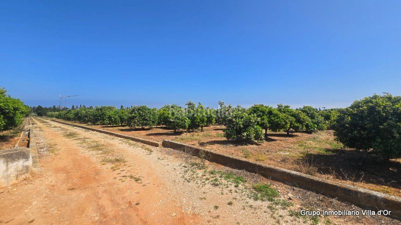 Foto 4a63f38c-f2b8-46b1-b5cf-9c13e09c7910. Casa a El Palmar - Los Molinos Dénia