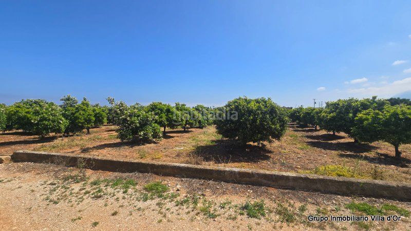 Foto 987d05d2-20ed-402d-9028-0e247fafbdee. Casa a El Palmar - Los Molinos Dénia