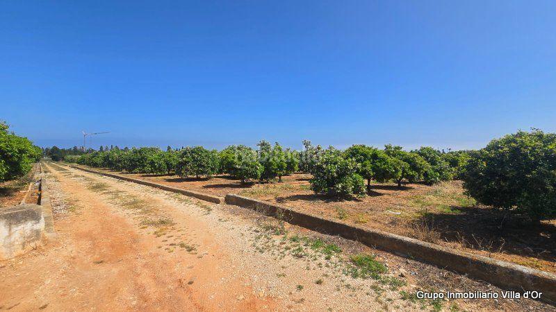 Foto e43eee97-6e08-46b8-b9f4-1f191d4dd993. Casa en El Palmar - Los Molinos Dénia