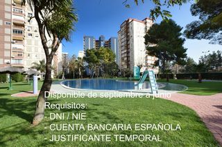 Rent Apartment  Avenida madrid. Playa pobla de farnals, apartamento de 1 habitación en residenci