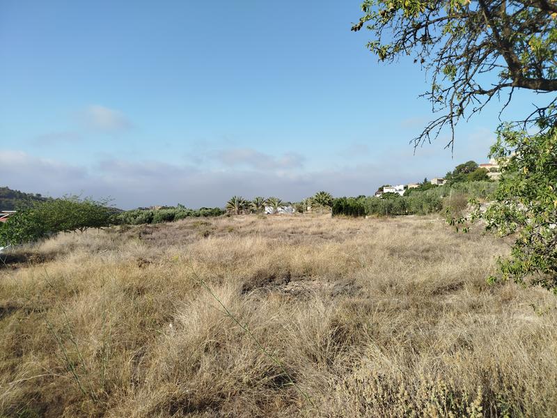 Foto 5ae41343-8cc4-41d0-b51b-24ad4e1db1a6. Finca rústica terreno para vender en Aigües