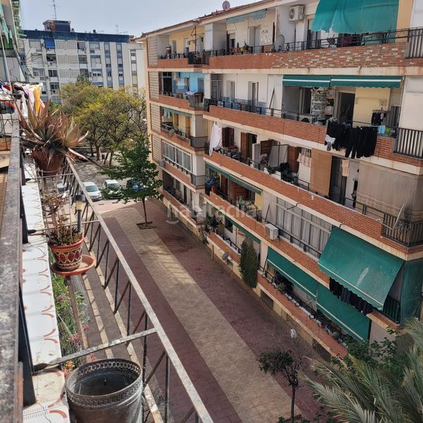 Foto b856c586-c2c4-4577-bbf3-1c616123b45c. Pis a plaza argel 5-2 a Virgen del Remedio - Parque Lo Morant Alicante