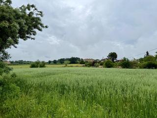 Finca rstica  Terri. En porqueres