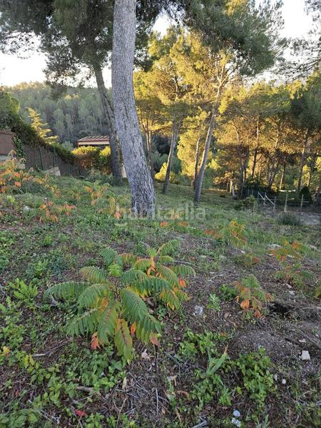 Foto 20904deb-45a9-461f-a374-f461289afd31. Wohngrundstück in Castellnou de Bages