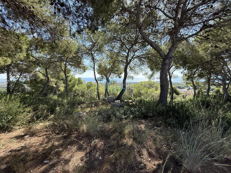 Foto 5be54726-456a-42f4-936b-a94e6a28905b. Terreny residencial a Els Masos - Els Garrofers Coma-ruga