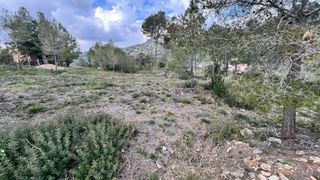 Terreno residenziale  Avinguda olesa de bonesvalls