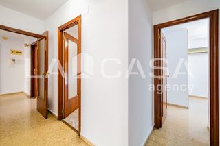 Pis  Carrer del doctor manuel candela
