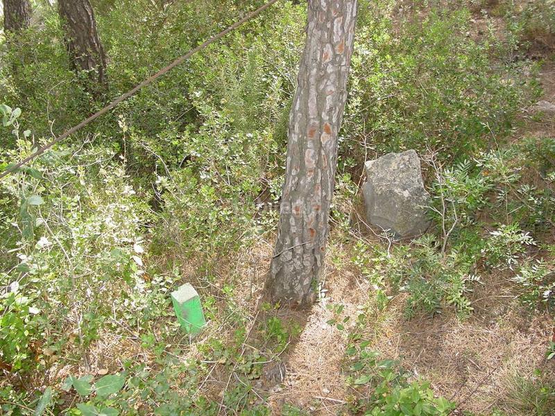 Foto 0297b6d9-88cf-4cf3-83a4-a2b1d4c481ea. Terreny residencial a carrer mediterrània 27 a l´Estartit poble Estartit