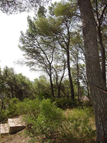 Foto a49b9b1b-e3c3-43f1-8a91-af1fb78e281a. Terreny residencial a carrer mediterrània 27 a l´Estartit poble Estartit