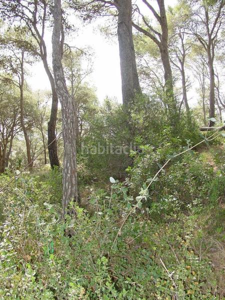 Foto bf94d72a-c918-4b45-9dbf-2addfb698fe3. Terreny residencial a carrer mediterrània 27 a l´Estartit poble Estartit