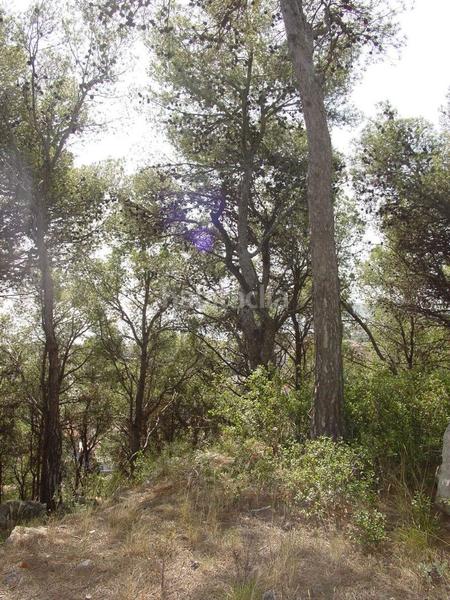 Foto d789137e-9f1f-4438-9853-33ef7e182038. Terreny residencial a carrer mediterrània 27 a l´Estartit poble Estartit