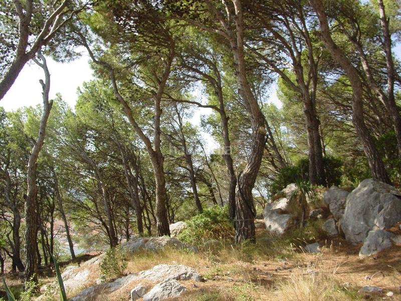 Foto e27ae4b8-1507-4f41-ba66-723d24c16d84. Terreny residencial a carrer mediterrània 27 a l´Estartit poble Estartit