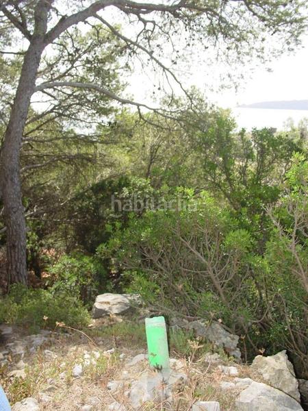 Foto e6915ba1-333b-4c42-bd4f-f9baebf28122. Terreny residencial a carrer mediterrània 27 a l´Estartit poble Estartit