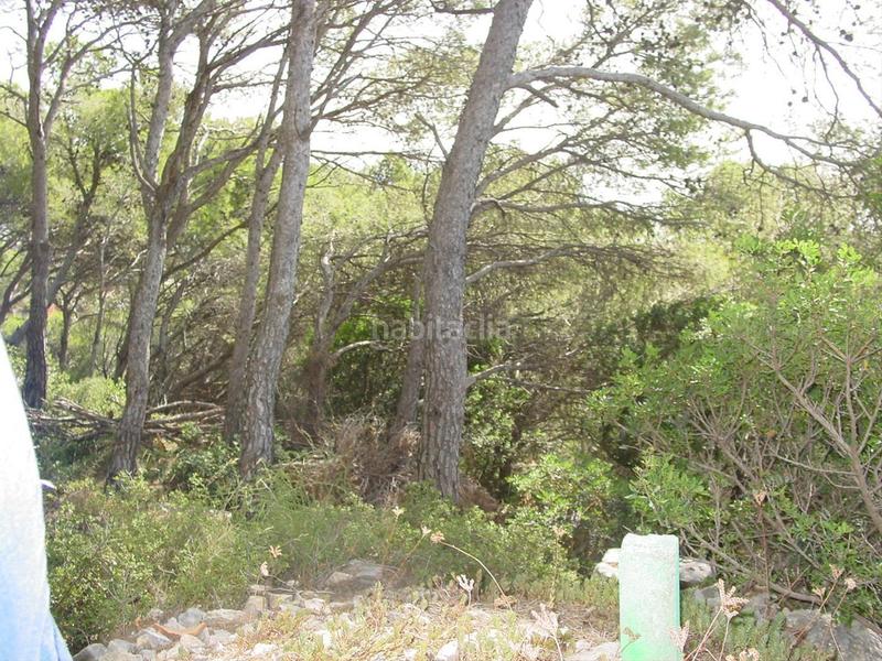 Foto ff42f3c3-a84d-4e07-9852-cedb44c01666. Terreny residencial a carrer mediterrània 27 a l´Estartit poble Estartit