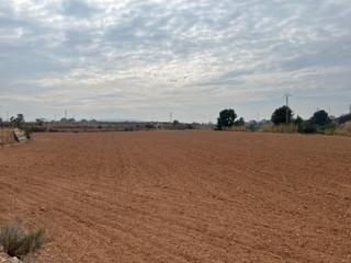 Finca rústica a Urbanizaciones. Campo para cultivo
