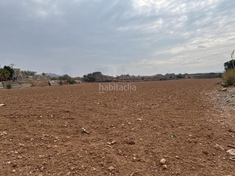Foto 5fe9126c-f440-4c3a-b326-ba3124b0d63e. Finca rústica campo para cultivo en Urbanizaciones Llíria