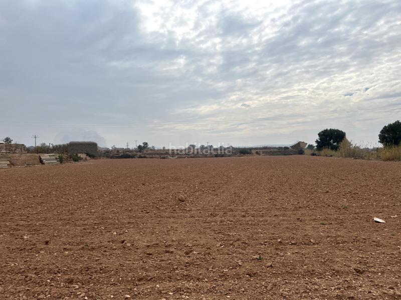 Foto 9a28da3d-7141-4453-bb57-31f7c0c08b4e. Finca rústica campo para cultivo en Urbanizaciones Llíria