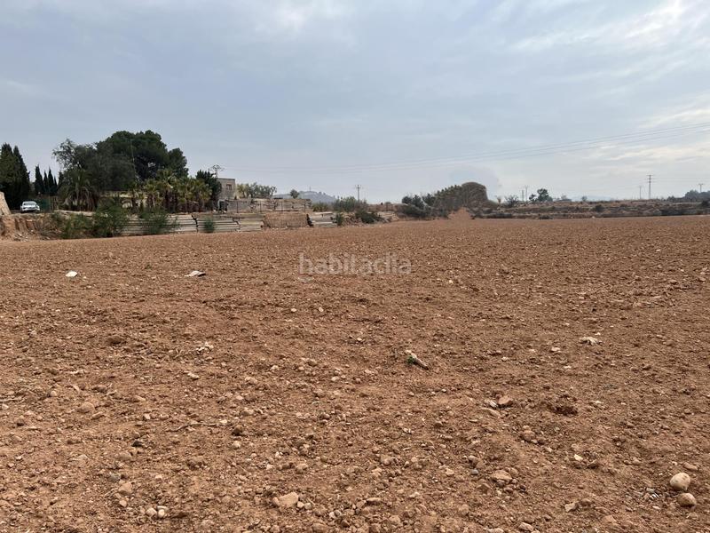 Foto d9a36776-35cd-4fcd-b9b1-5c611b7495ff. Finca rústica campo para cultivo en Urbanizaciones Llíria