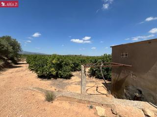 Finca rústica a Vilamarxant. Campo de naranjos en venta villamarchante