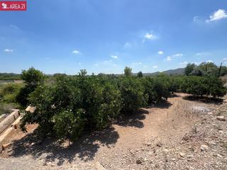 Propriété à Vilamarxant. Venta campo navel foios villamarchante