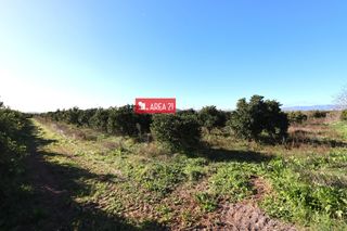 Finca rústica a Benaguasil. Campo  para cultivo de 5528 m2 en benaguacil muy cerca a la pobl