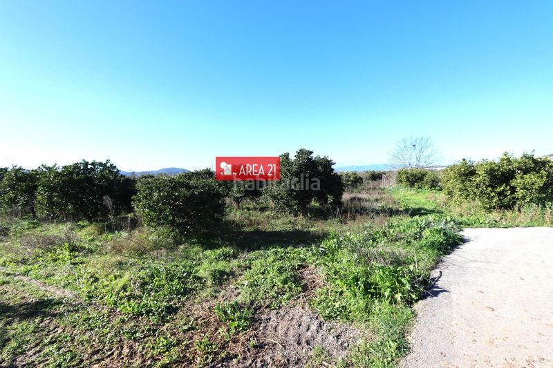 Foto fb9a5d02-efef-4f59-bb12-0623d3d41418. Finca rústica a Benaguasil