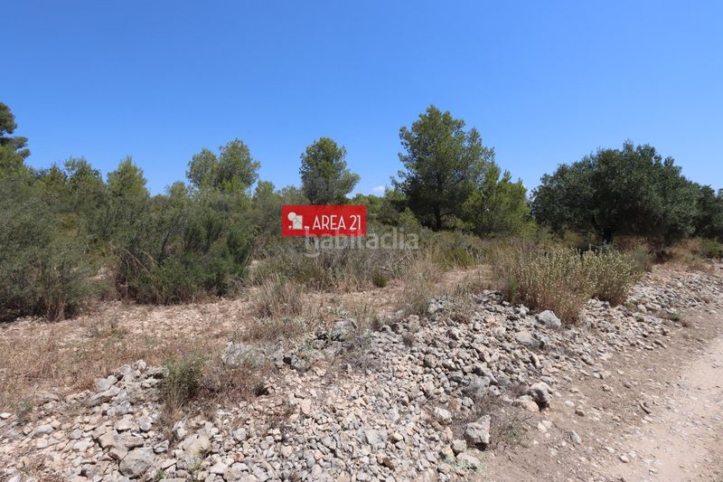 Foto 1ee5d981-bd20-4e47-8ec3-5f6ecba0d19d. Finca rústica a Pla dels Aljubs Pobla de Vallbona (la)