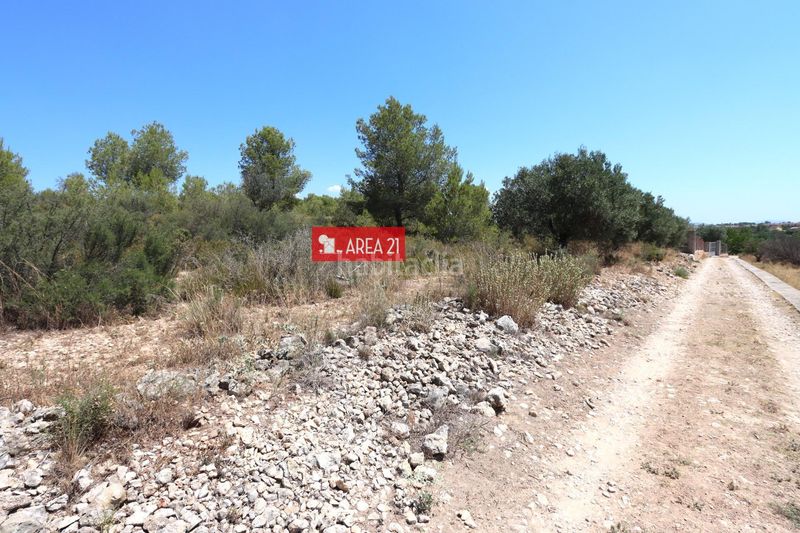 Foto 284b7e81-d8f6-4a5f-a82a-ce5c1366a59b. Finca rústica a Pla dels Aljubs Pobla de Vallbona (la)