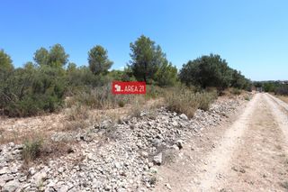 Fondo rustico in Pla dels Aljubs. Parcela agraria cercana a la pobla de vallbonacasablanca