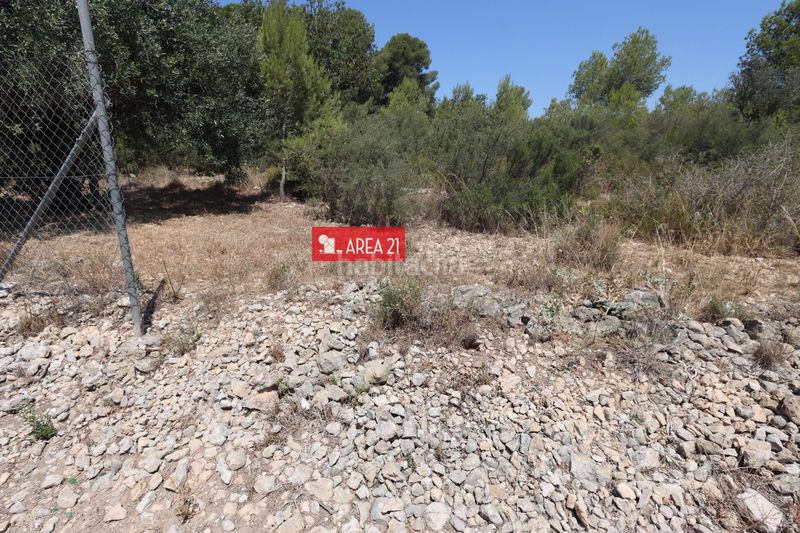 Foto f34aefb1-bad4-4760-ac85-7c285fd8bd3f. Finca rústica a Pla dels Aljubs Pobla de Vallbona (la)
