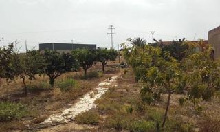 Planta baixa en La Pinilla - Las Palas. 2 viviendas en finca